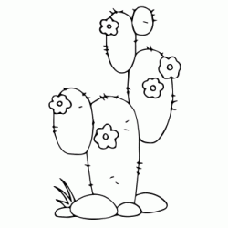 Dibujo para colorear Cactus