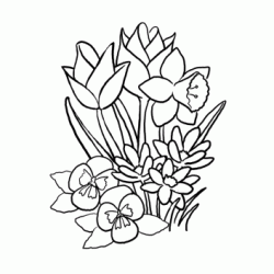 Dibujo para colorear Tulipanes y narcisos