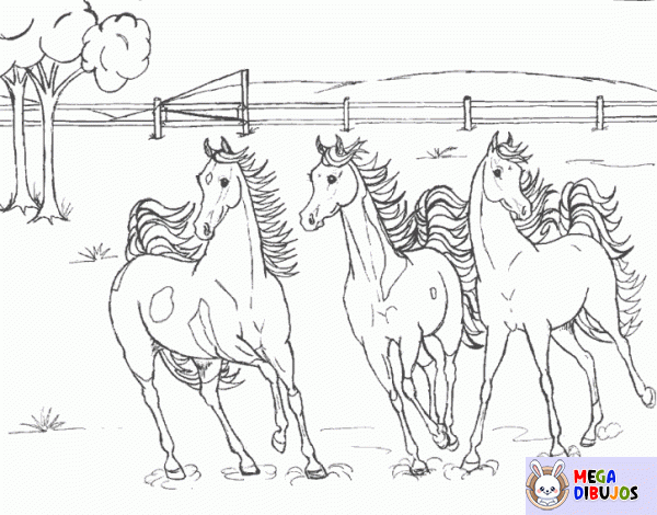 Dibujo para colorear Caballos en el prado