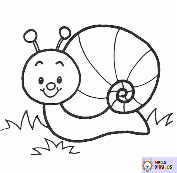 Dibujo para colorear Pequeño caracol