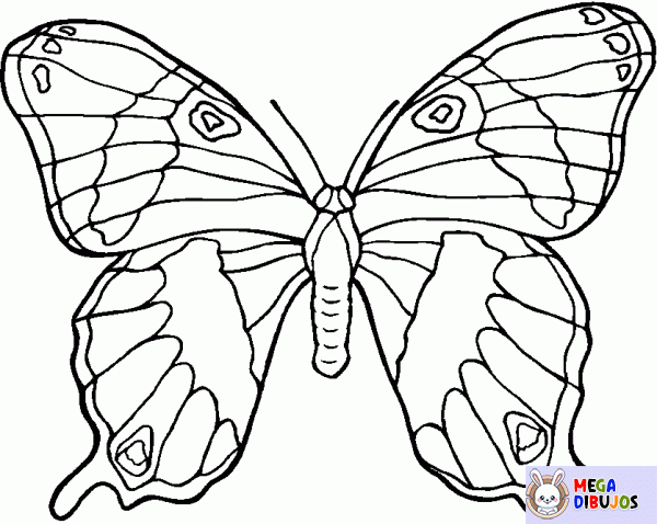 Dibujo para colorear Gran mariposa