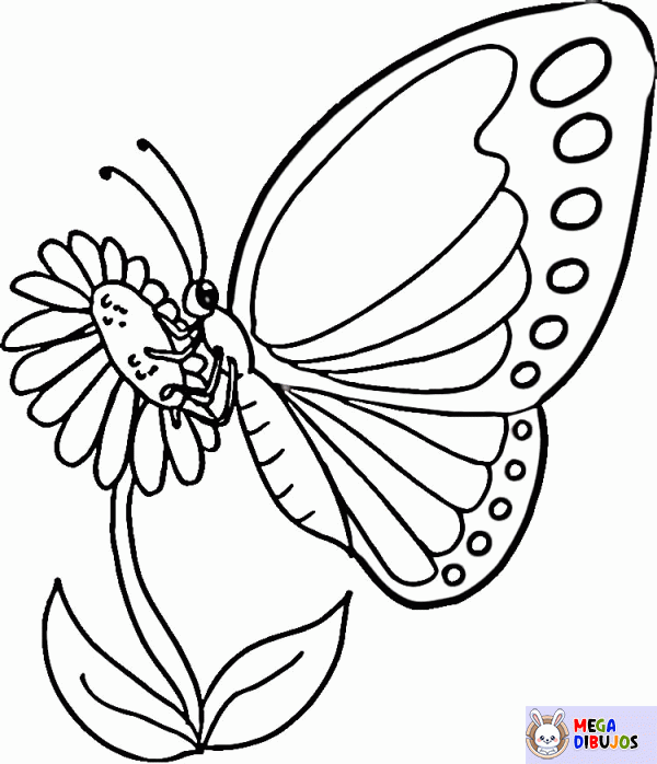 Dibujo para colorear Mariposa forrajeo