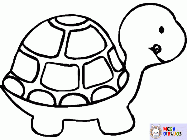 Dibujo para colorear Pequeña tortuga