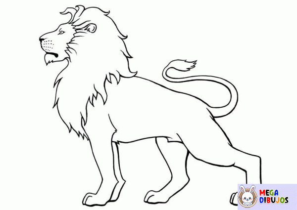 Dibujo para colorear León majestuoso