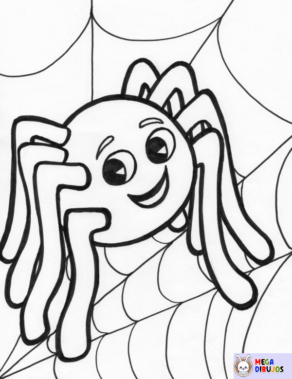 Dibujo para colorear Pequeña araña en su web