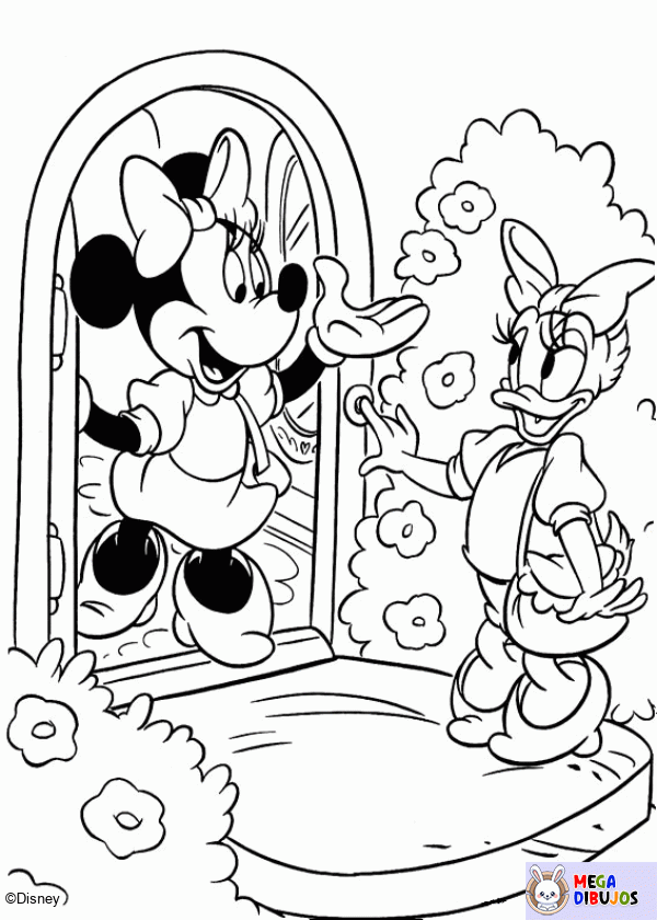 Dibujo para colorear Minnie y Pata Daisy