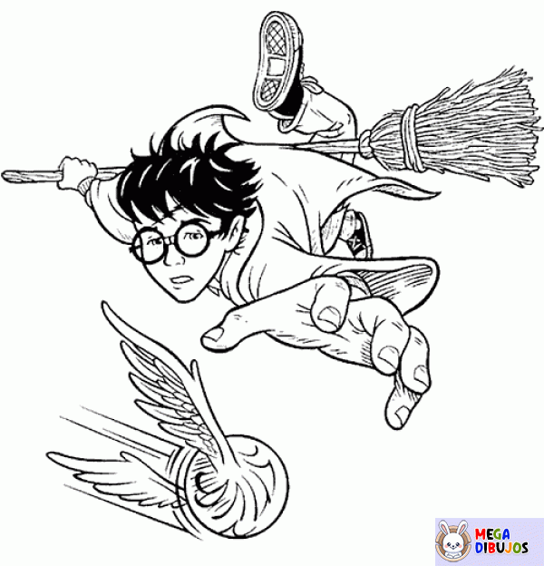 Dibujo para colorear Harry Potter y el partido de Quidditch