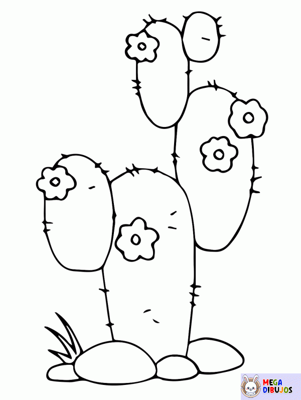 Dibujo para colorear Cactus