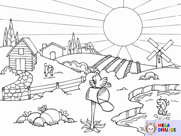 Dibujo para colorear Paisaje de campo