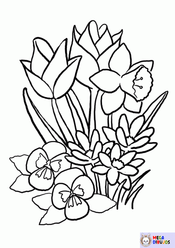 Dibujo para colorear Tulipanes y narcisos