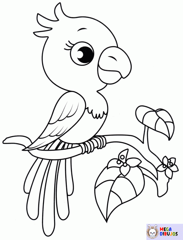 Dibujo para colorear Bonito Loro para imprimir