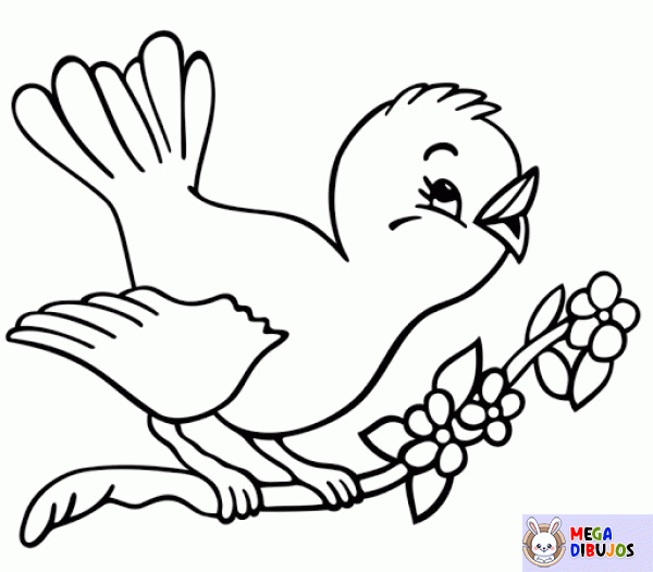 Dibujo para colorear Pequeño pájaro cantor