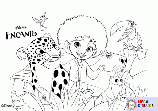 Dibujo para colorear Encanto y animales