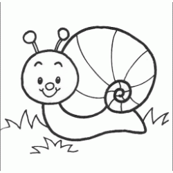 Dibujo para colorear Pequeño caracol