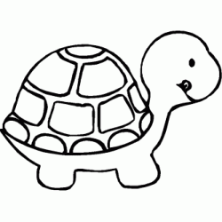 Dibujo para colorear Pequeña tortuga