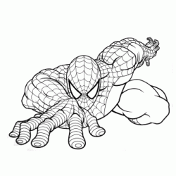 Dibujo para colorear Spiderman