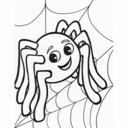 Dibujo para colorear Pequeña araña en su web