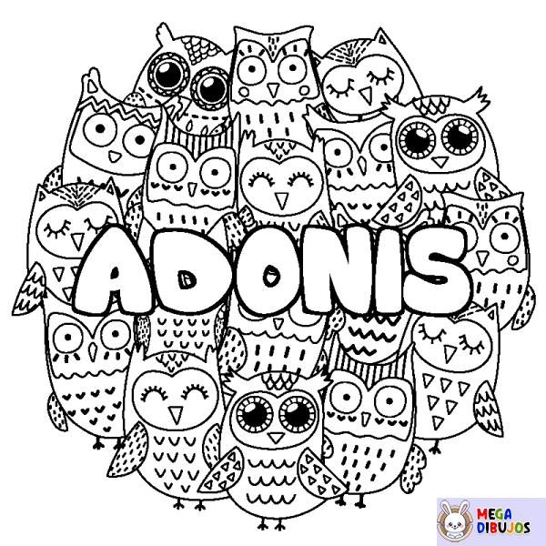 Coloración del nombre ADONIS - decorado b&uacute;hos