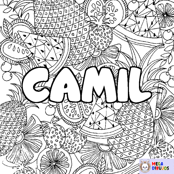 Coloración del nombre CAMIL - decorado mandala de frutas