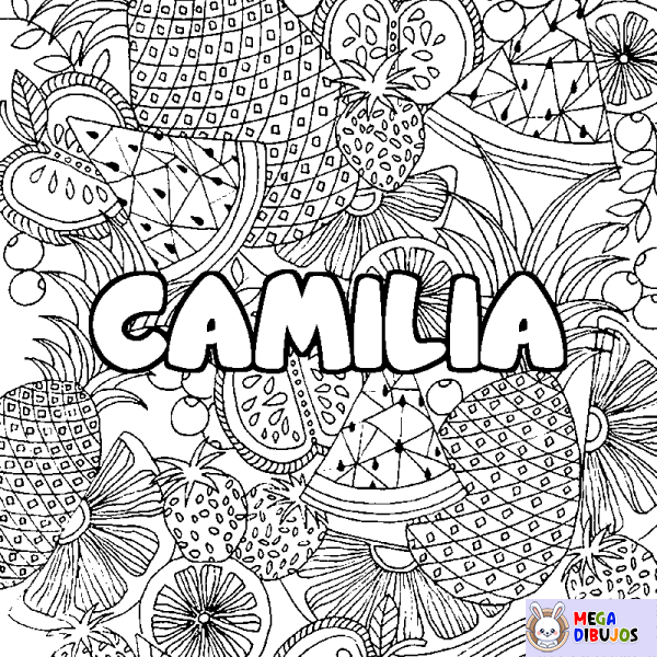 Coloración del nombre CAMILIA - decorado mandala de frutas