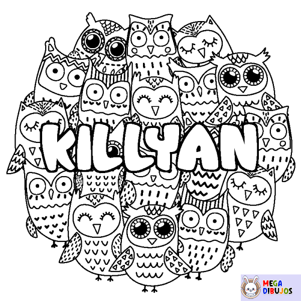 Coloración del nombre KILLYAN - decorado b&uacute;hos