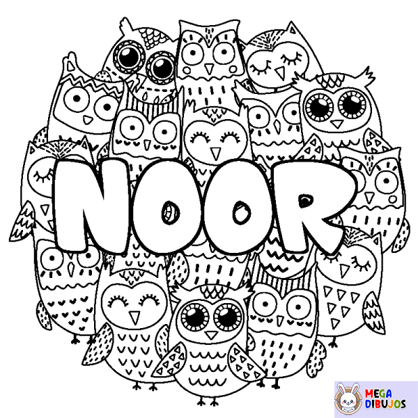 Coloración del nombre NOOR - decorado b&uacute;hos