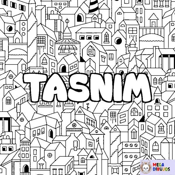 Coloración del nombre TASNIM - decorado ciudad