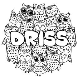 Coloración del nombre DRISS - decorado búhos