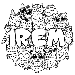 Coloración del nombre IREM - decorado búhos