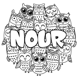 Coloración del nombre NOUR - decorado búhos