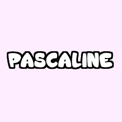 Coloración del nombre PASCALINE